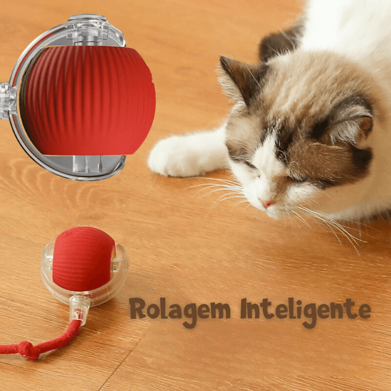 Brinquedo Bolinha Interativa para pet Automática com sensor