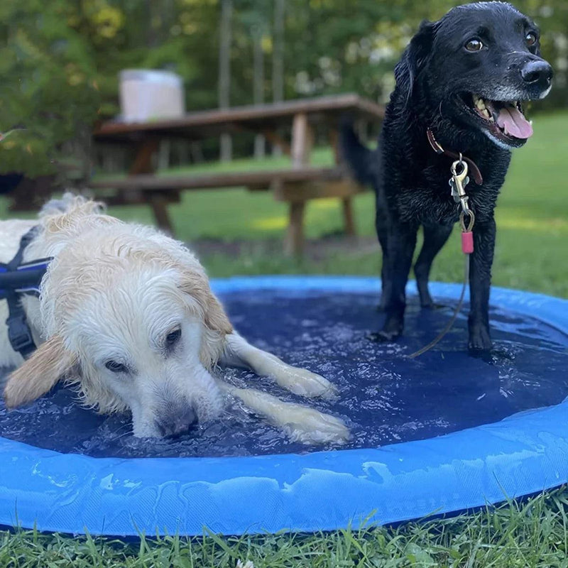 Tapete e brinquedo de água interativo para cães - Piscina pet